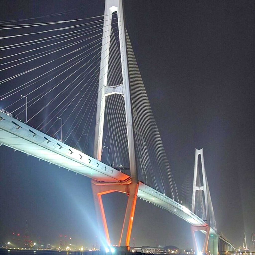 画像コンテンツ